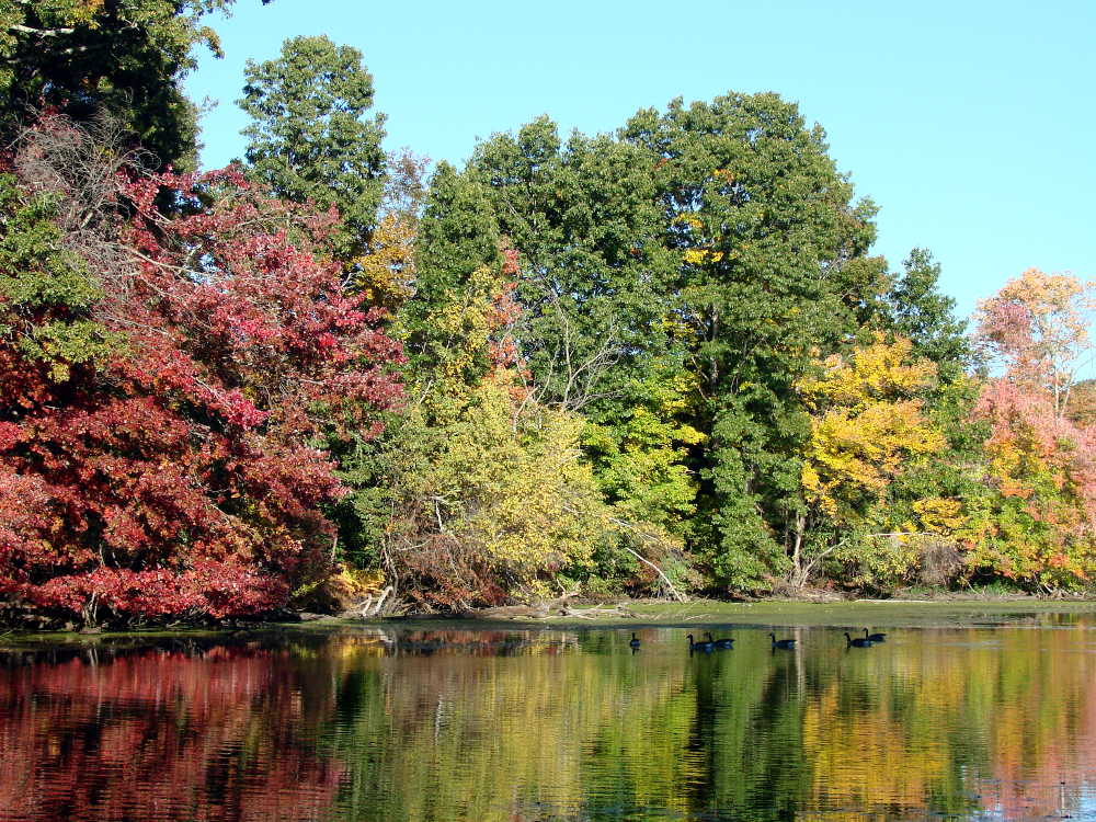 Fall in New England